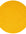 Premium Shaggy Rug Plain Yellow Rectangle Shape | The Rugs