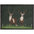 View deer mat teal washable, ultra-absorbent, non-slip.