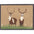 The Rugs Eco-Friendly Washable Animal Mats | British