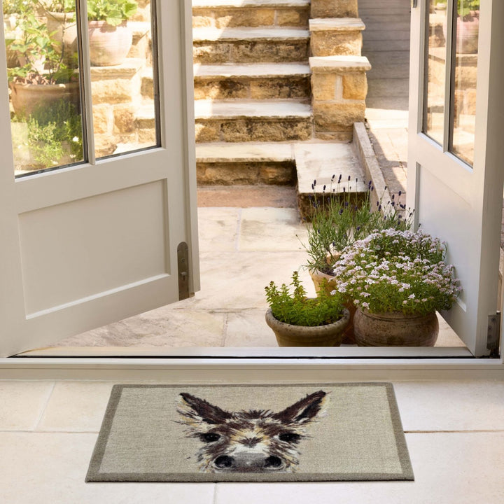 Doormat with a donkey design in front of a house entrance with plants and steps.