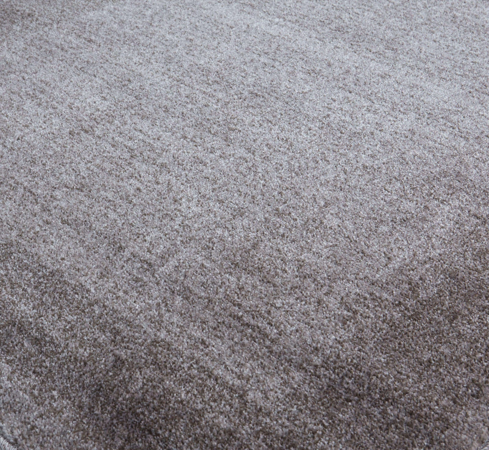 Modern Living Room Rug Bordered Design in Grey | The Rugs