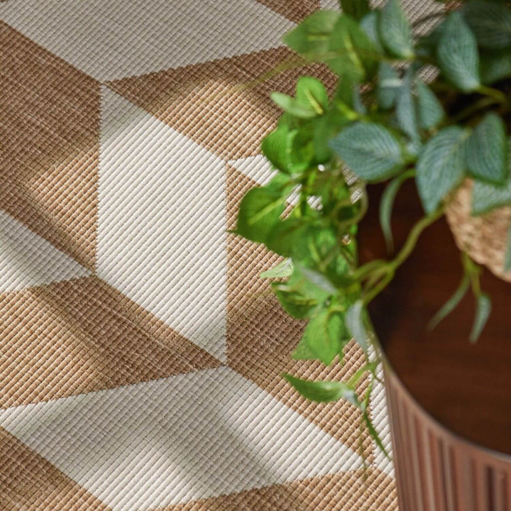 Potted plant on a textured surface with geometric pattern