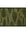 Fern patterned doormat on a white background
