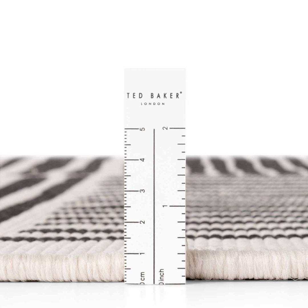 Rug with zebra pattern measurement scale and 'Ted Baker' branding