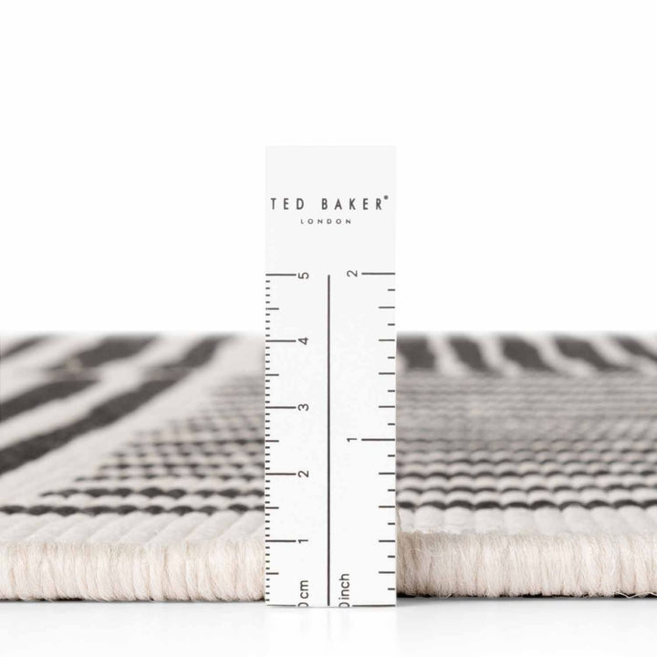 Rug with zebra pattern measurement scale and 'Ted Baker' branding