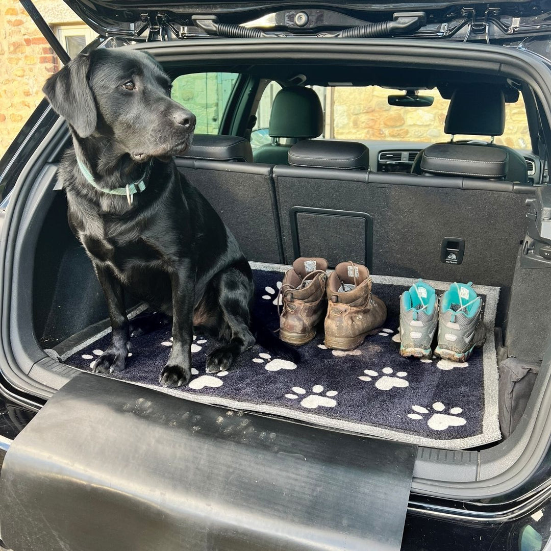Car Boot Paws Coir Doormat – 90 × 100 cm