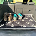 Car Boot Paws Coir Doormat – 90 × 100 cm