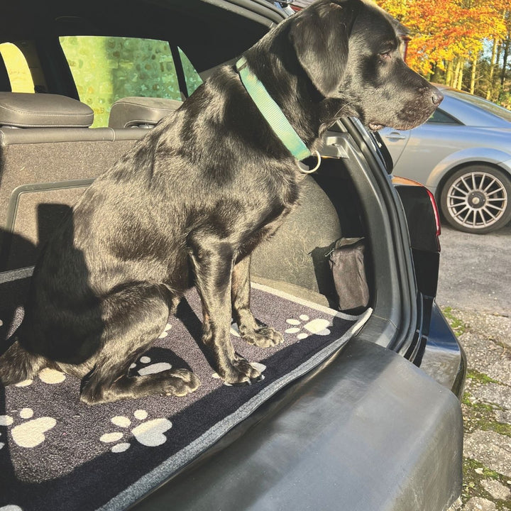 Car Boot Paws Coir Doormat – 90 × 100 cm