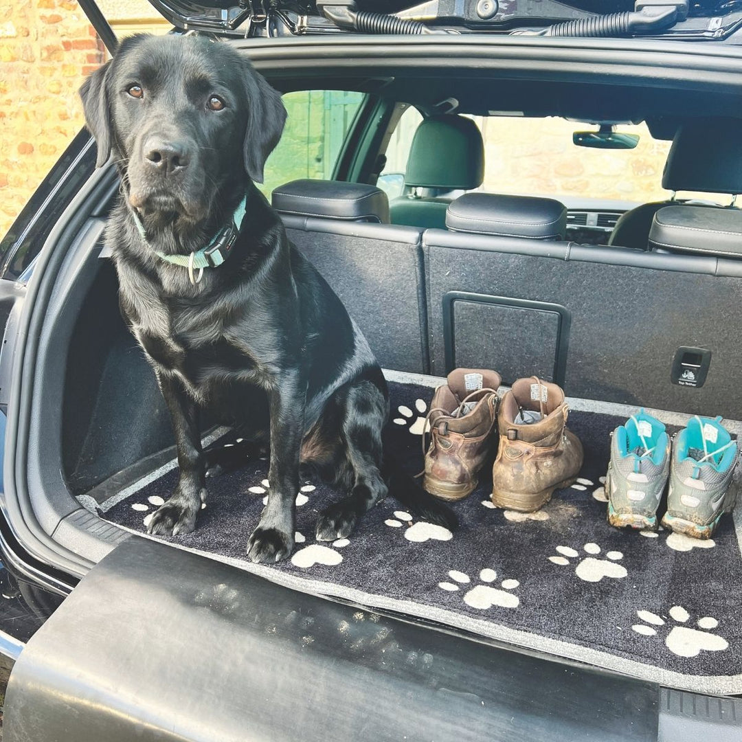 Car Boot Paws Coir Doormat – 90 × 100 cm