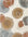 Patterned rug with circular shapes in brown, blue, and beige on a white background