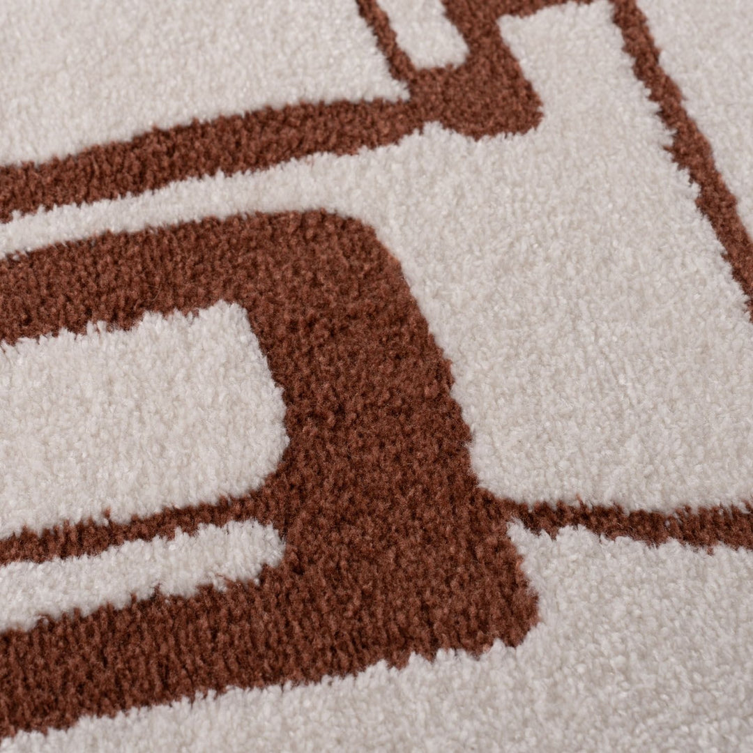 Close-up of a brown and beige patterned rug
