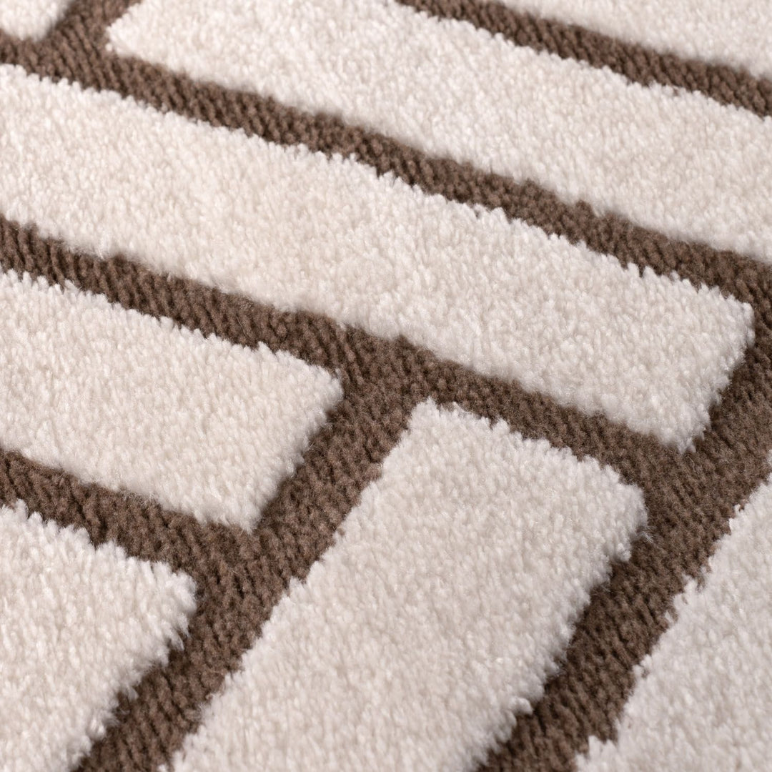 Close-up of a brown and white geometric patterned rug