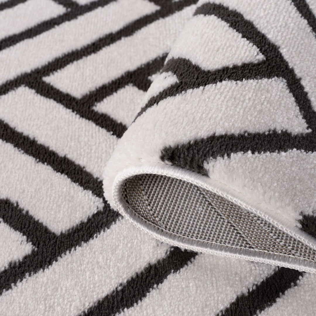 Close-up of a black and white striped rug with a textured border.
