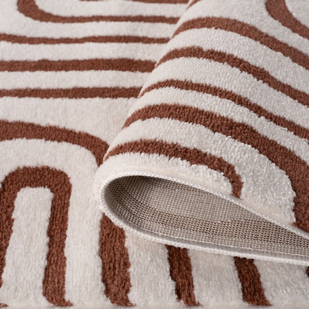 Close-up of a brown and white patterned rug with a textured border.