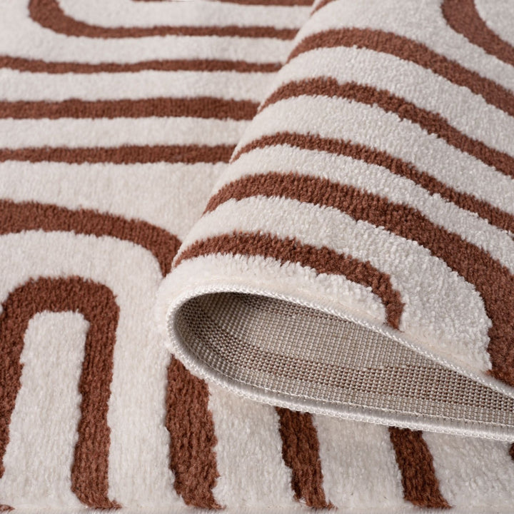 Close-up of a brown and white patterned rug with a textured border.