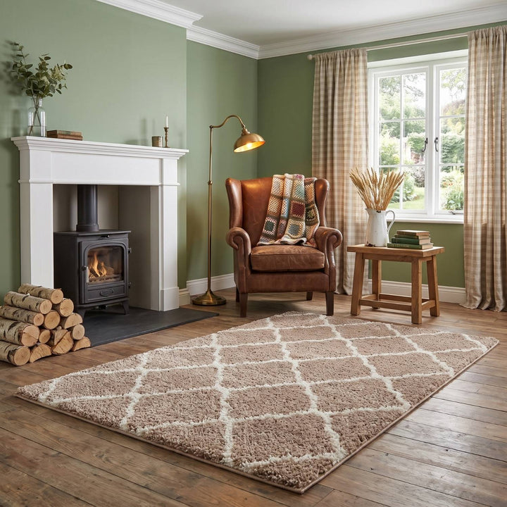 Moroccan Design Thick Shaggy Area Rugs Beige