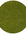 Shaggy Green Rug Soft and Durable, Non-Shedding, High Quality.