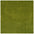 Shaggy Green Rug Soft and Durable, Non-Shedding, High Quality.