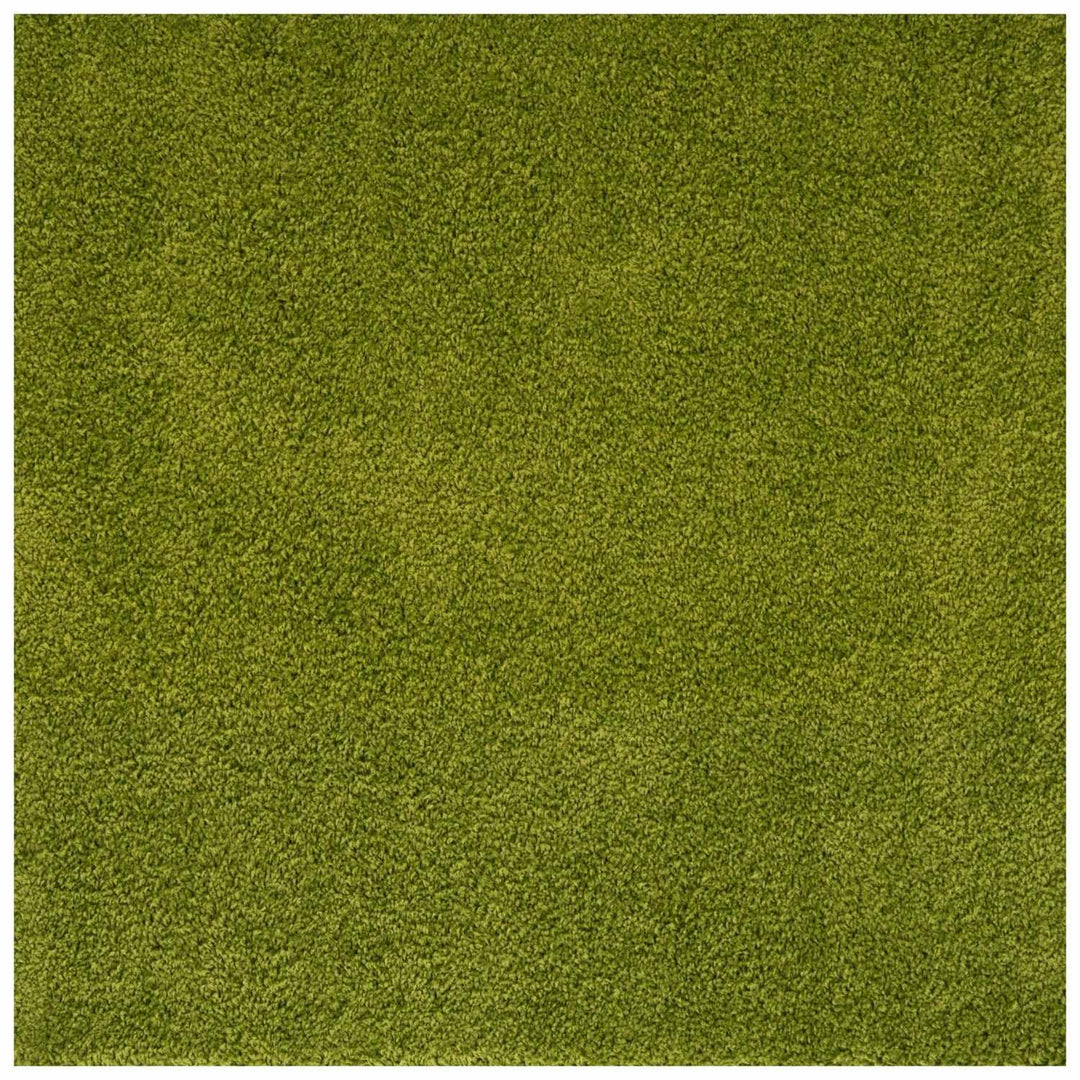 Shaggy Green Rug Soft and Durable, Non-Shedding, High Quality.