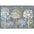 Eco-Friendly Washable Floral Mat – Non-Slip & Ultra-Absorbent