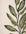 Hand-tufted cream and green wool rug featuring elegant leaf design, perfect for adding natural beauty to indoor spaces.