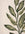 Hand-tufted cream and green wool rug featuring elegant leaf design, perfect for adding natural beauty to indoor spaces.