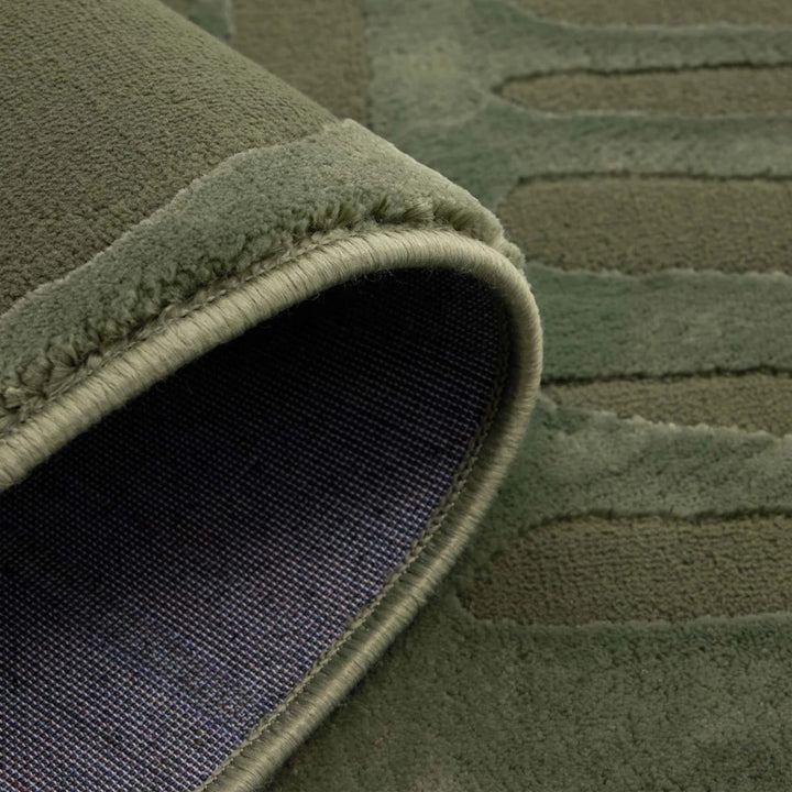 Close-up of a green textured rug with a visible border.