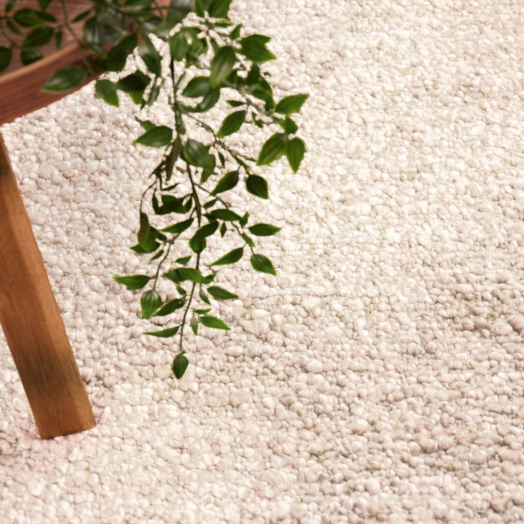 Green plant leaves on a textured beige carpet