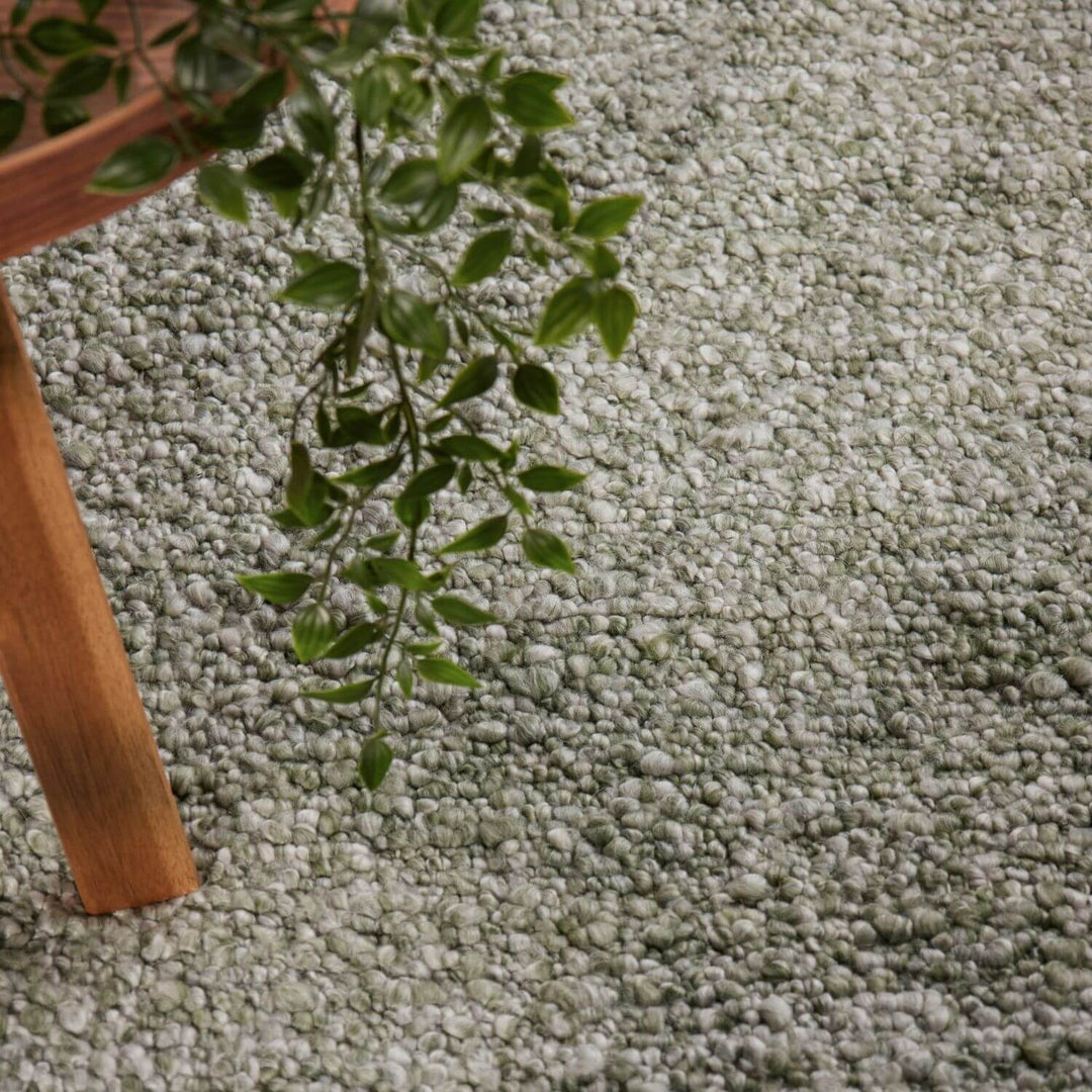 Green plant on a textured green carpet