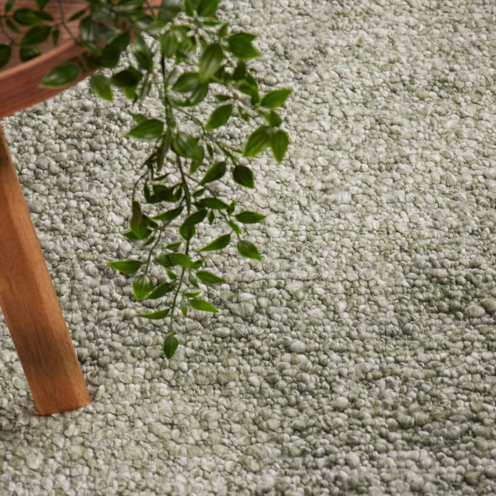 Green plant on a textured light green carpet