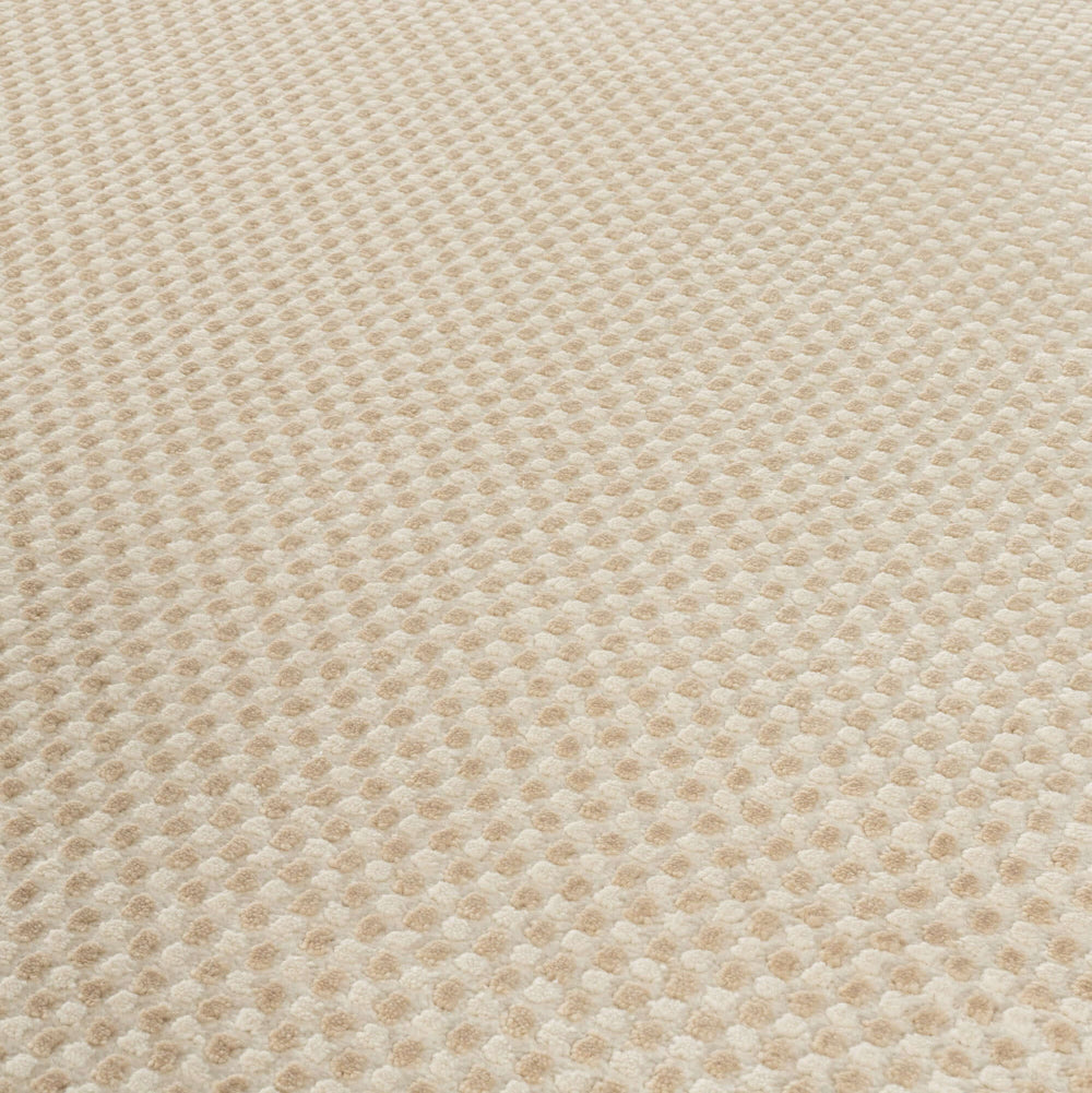 The Rugs Modern Living Room Rug - Dots Design Mosaic Rug in Beige