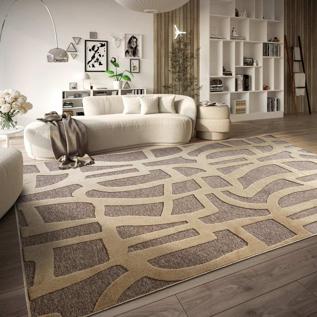 Modern living room with a patterned rug, sofa, and bookshelf.