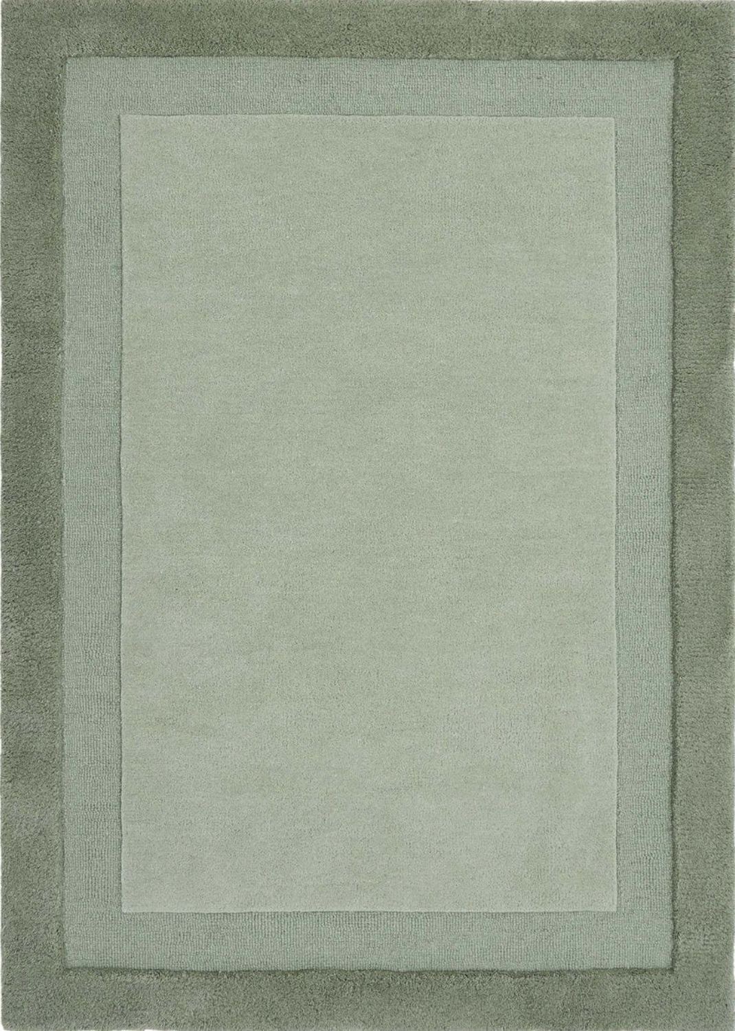 Rectangular green rug with a border