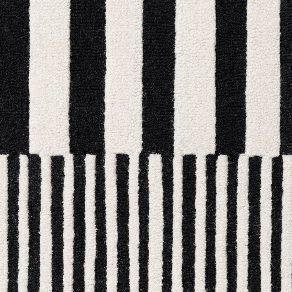 Close-up of a black and white striped pattern