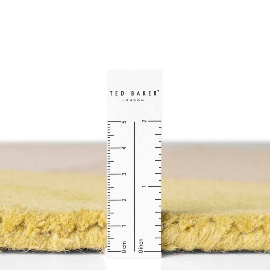 Ted Baker Westminster Wool Savile Cream Multicolour Rug