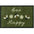 Washable Floral Indoor Mats