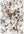The Rugs Shine Design Floral Rug – Vintage Elegance