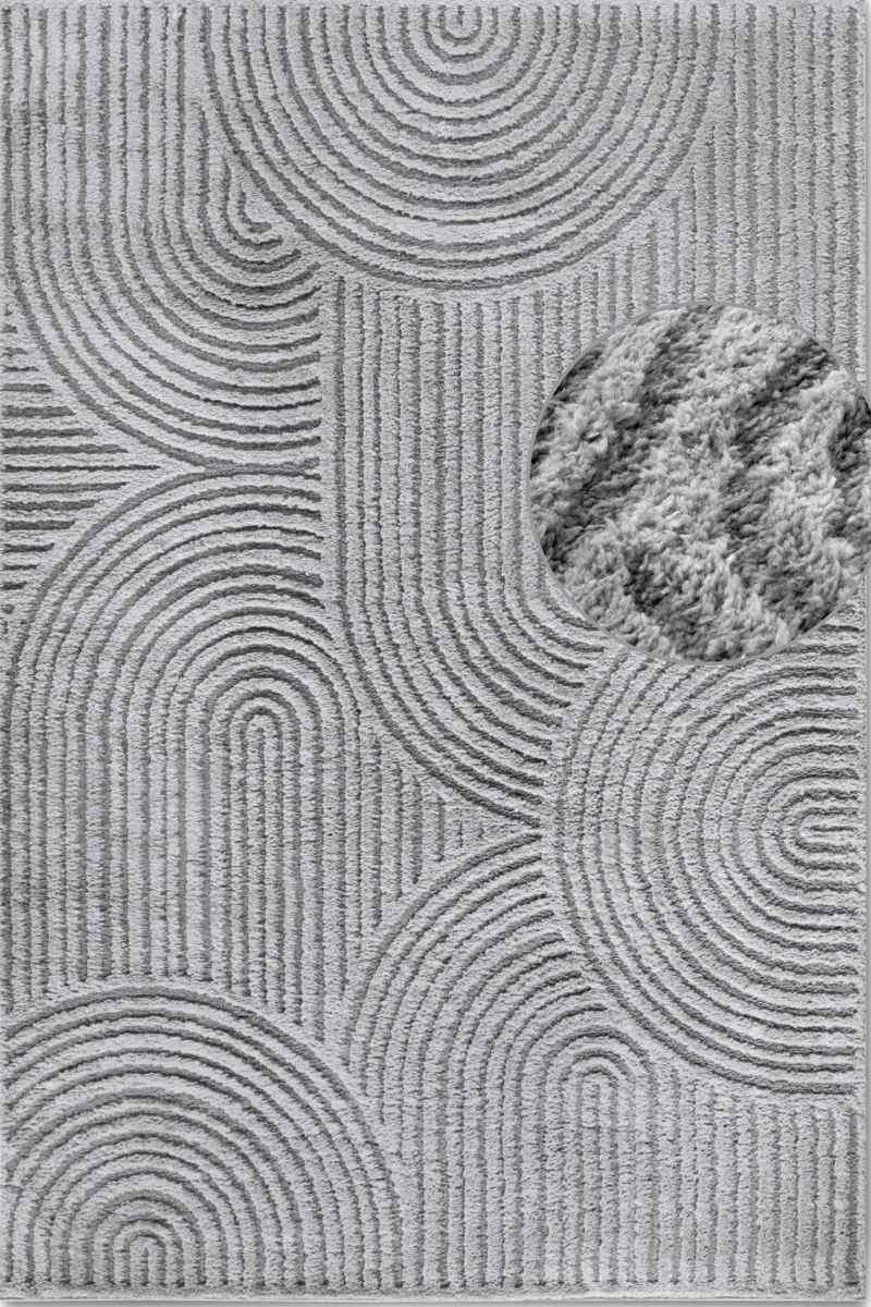 Textured rug with circular patterns and a small plant on a neutral background