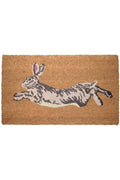 Hare