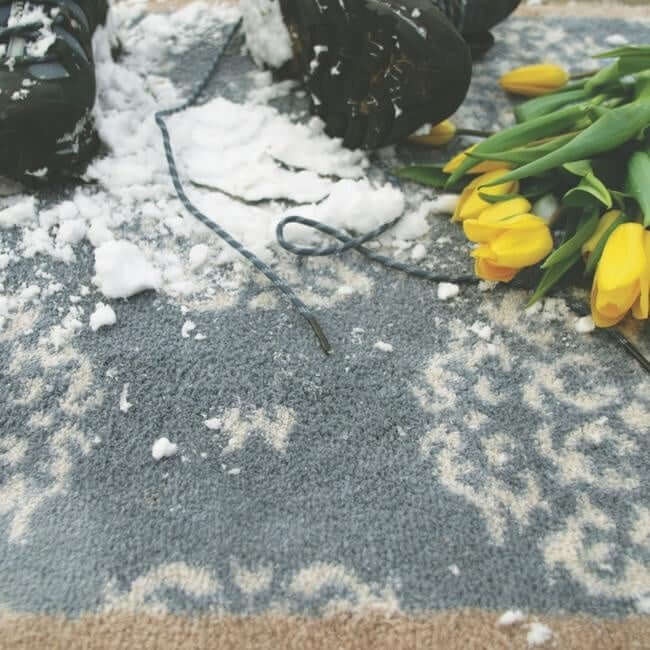 The Rugs Eco-Friendly Washable Doormats | Functional