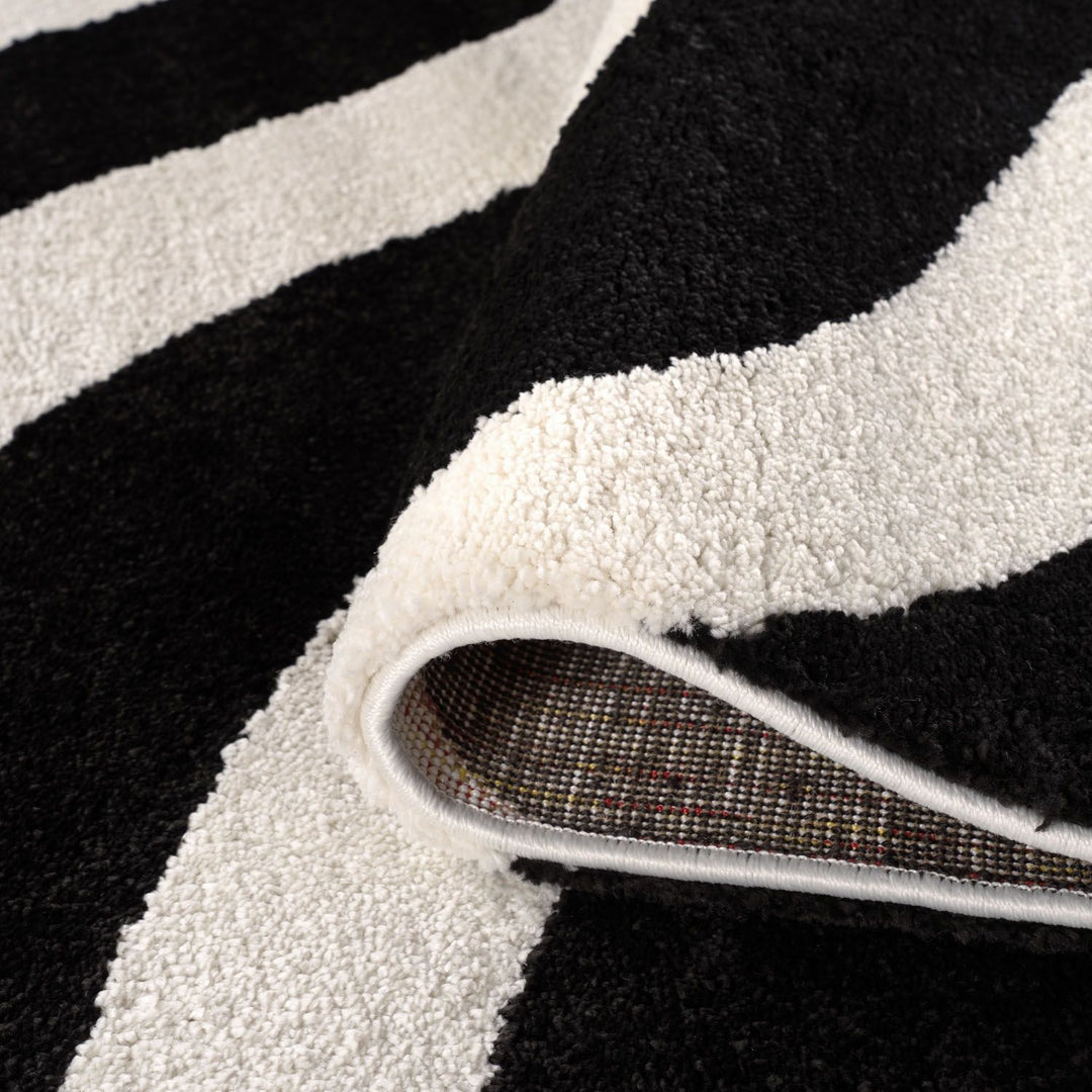 Close-up of a black and white striped rug with a textured border.