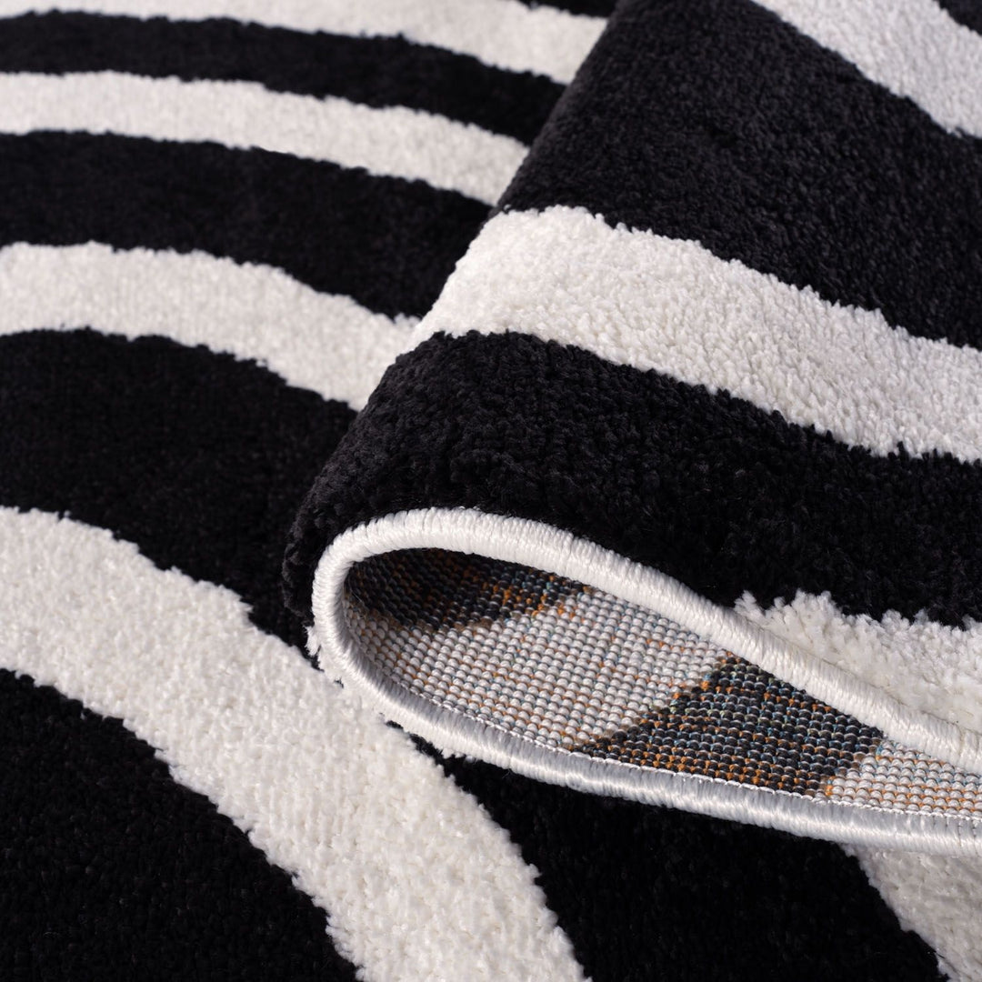 Close-up of a black and white striped rug with a textured border.