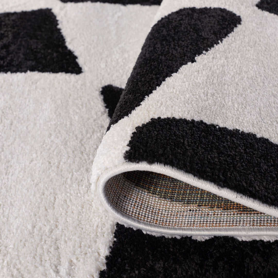 Close-up of a black and white patterned rug with a textured border.