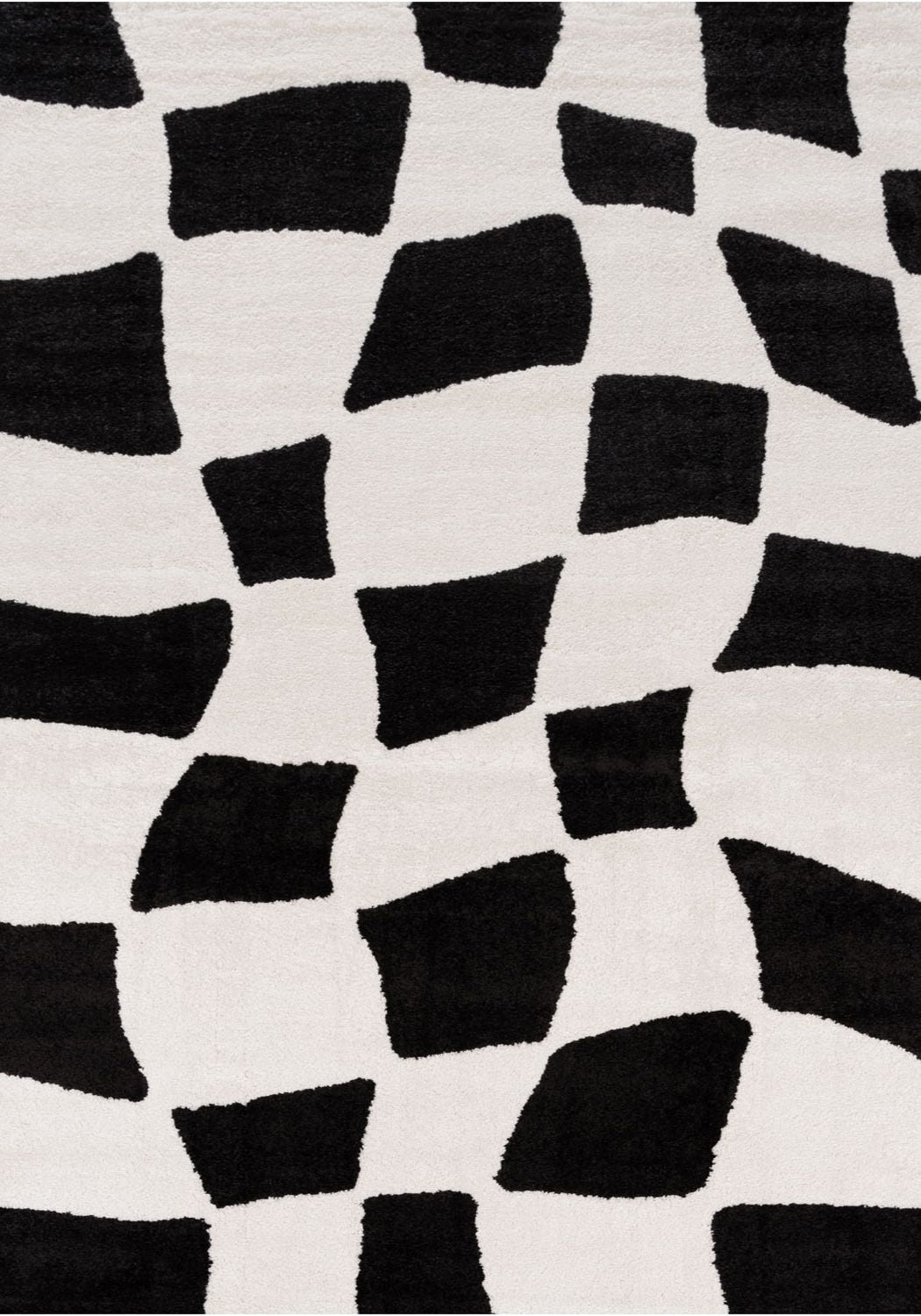 Black and white geometric patterned rug