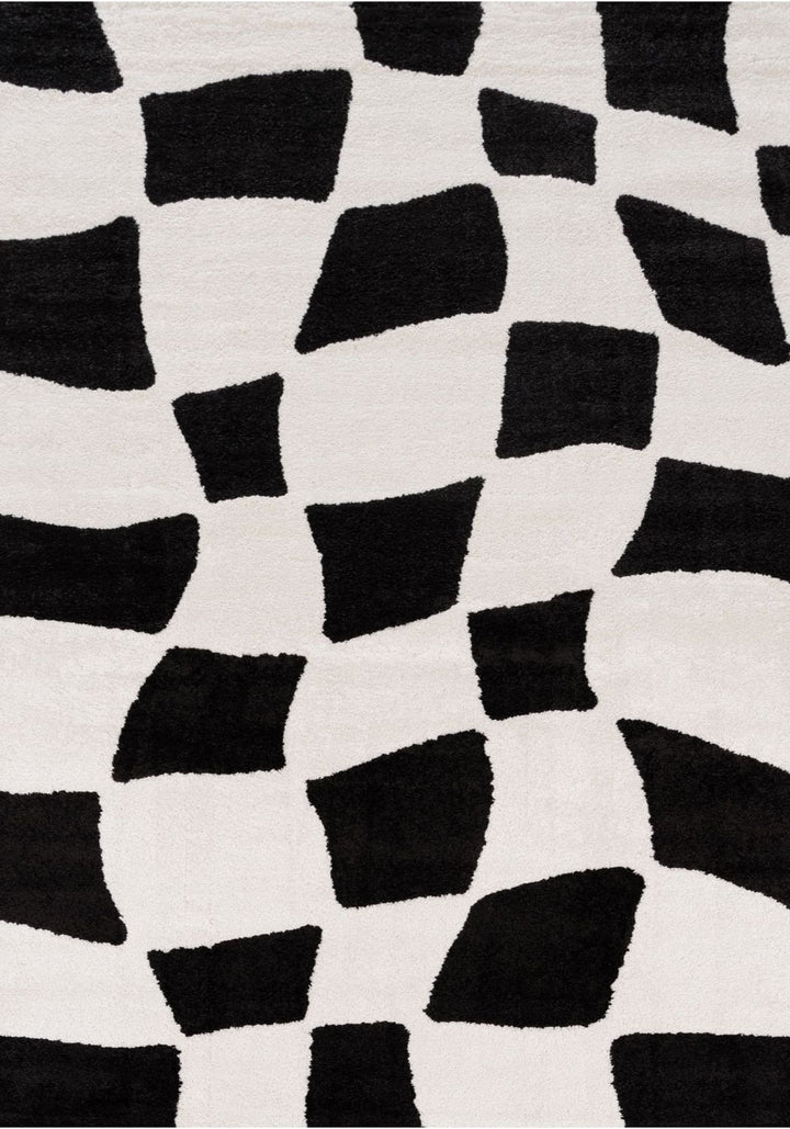 Black and white geometric patterned rug