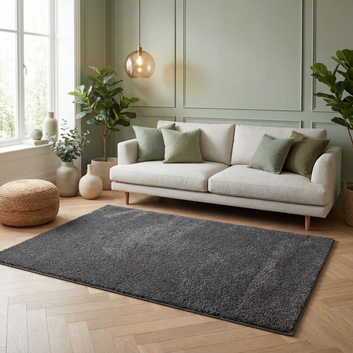 Living room with a white sofa, gray rug, and decorative plants.