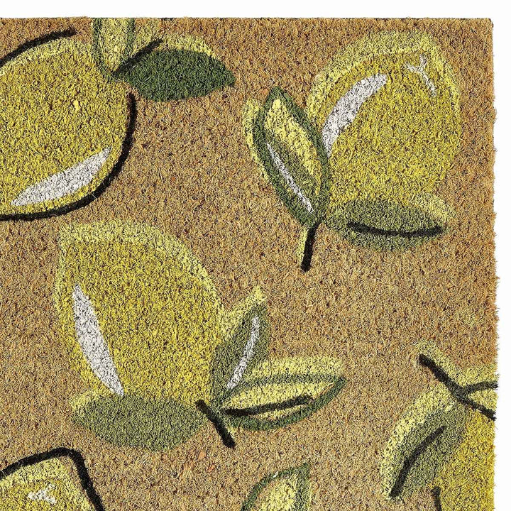 Colourful Natural Coir Doormat - 45x75 cm