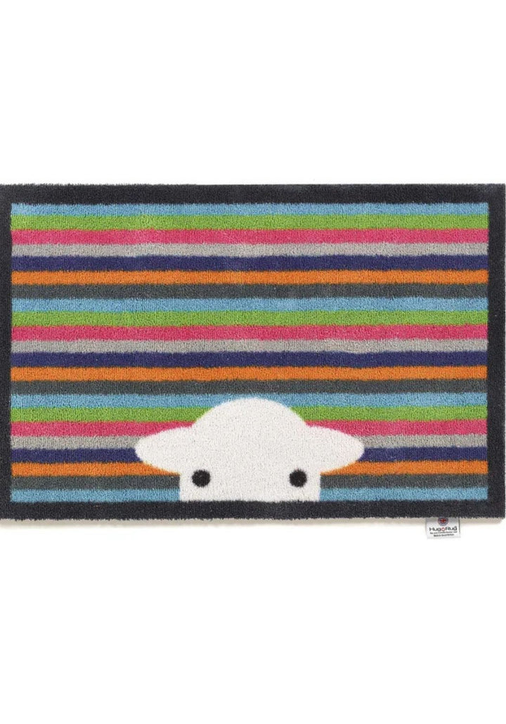 The Rugs Eco-Friendly Washable Doormats | Functional