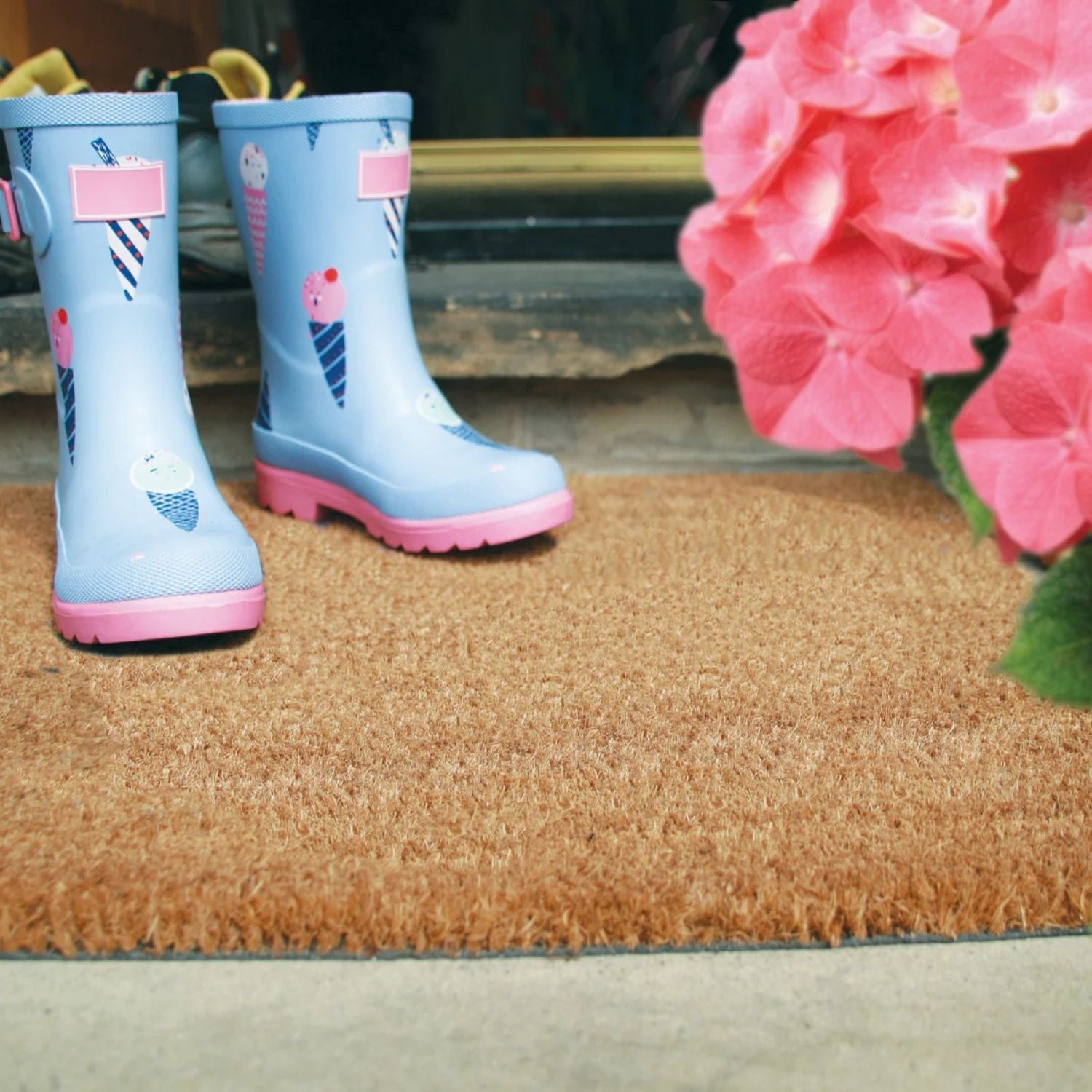 Durable Coir Scraper Plain Doormat