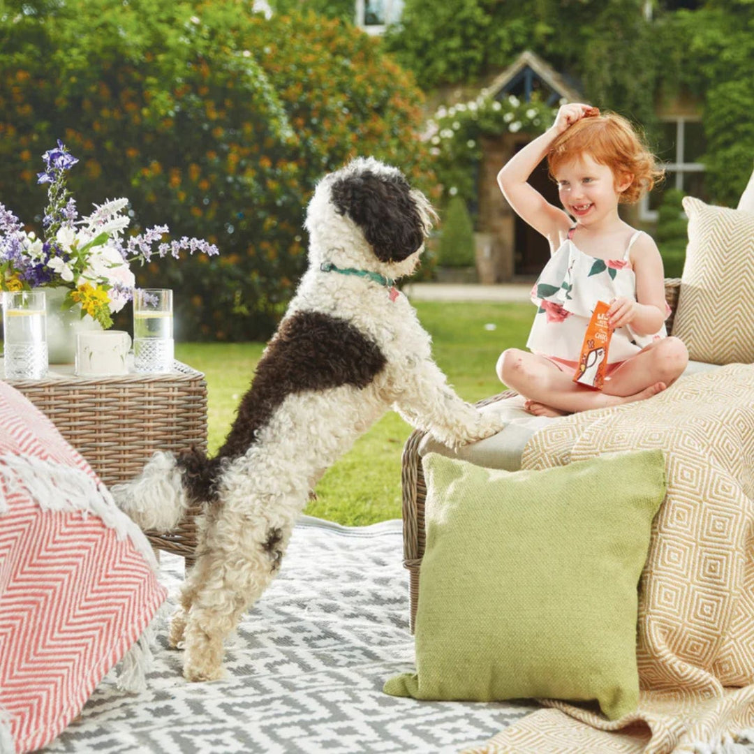 Plain Design Woven Cushion | Eco-Friendly Comfort | The Rugs